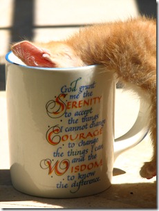 Serenity Prayer Mug